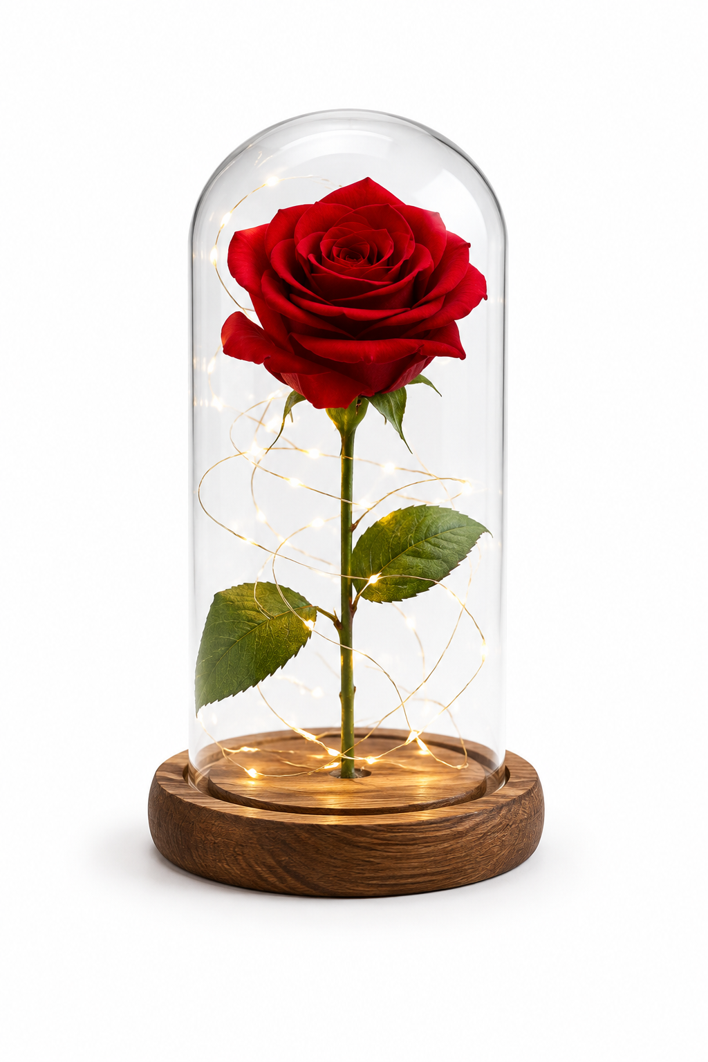 Rose éternelle sous cloche avec LED