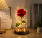 Rose éternelle sous cloche avec LED